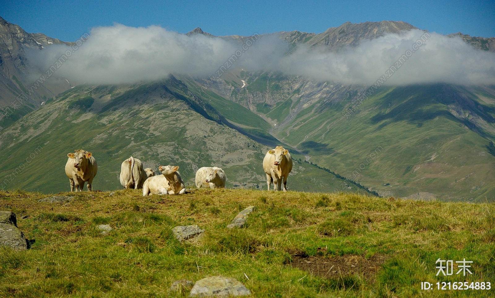 远山贴图下载【ID:1216254883】