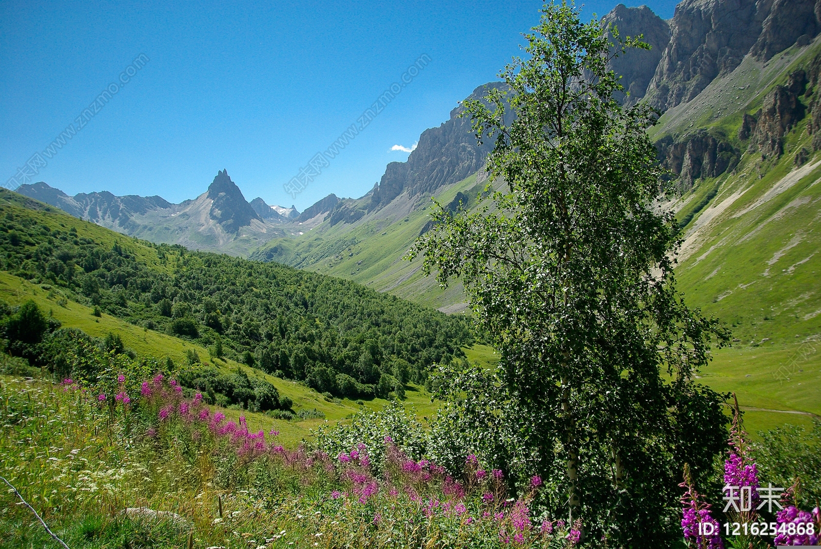 橱窗贴图下载【ID:1216254868】