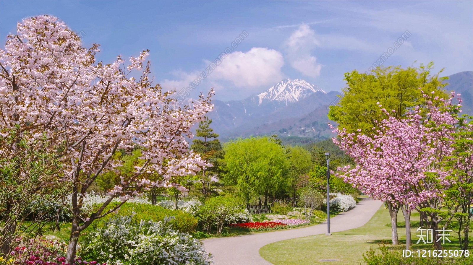 花园贴图下载【ID:1216255078】
