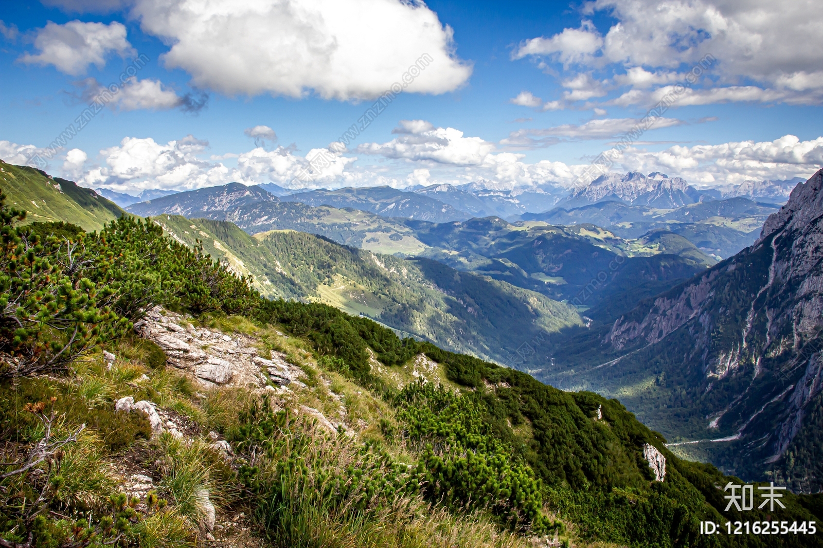山水贴图下载【ID:1216255445】