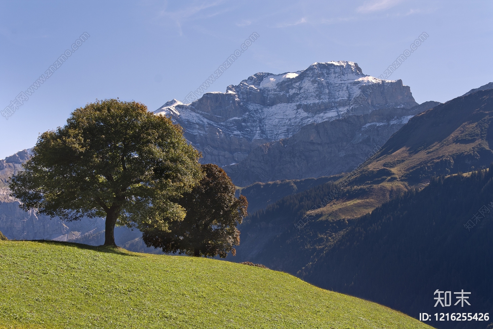 远山贴图下载【ID:1216255426】
