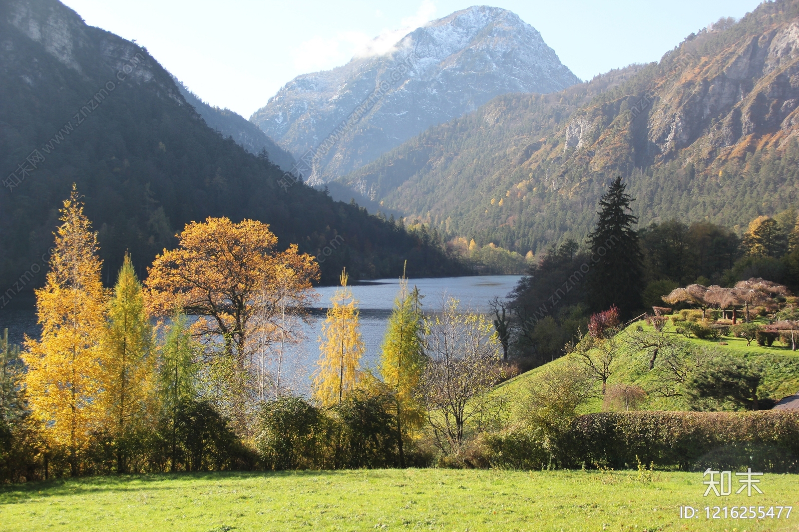 橱窗贴图下载【ID:1216255477】