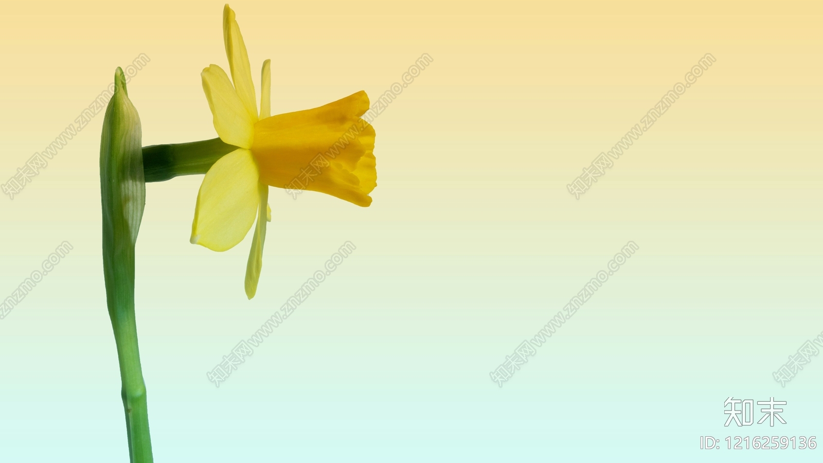 现代其他屏幕贴图下载【ID:1216259136】