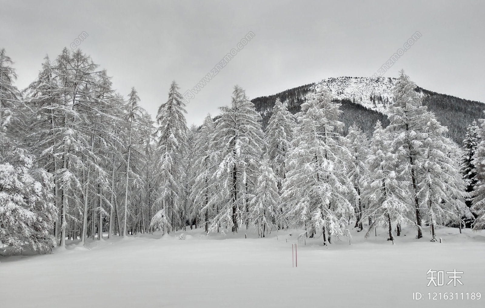 小区外景贴图下载【ID:1216311189】
