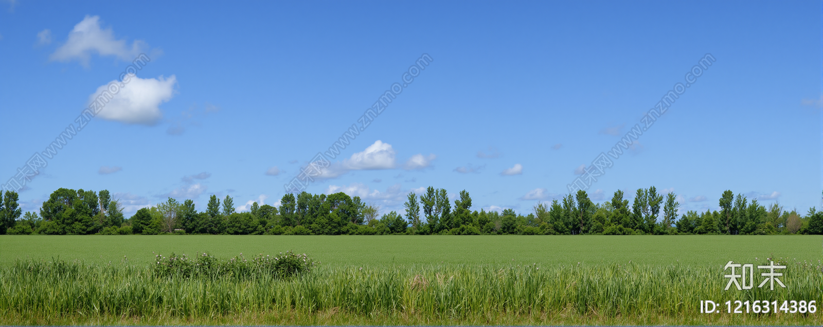 现代其它外景贴图下载【ID:1216314386】