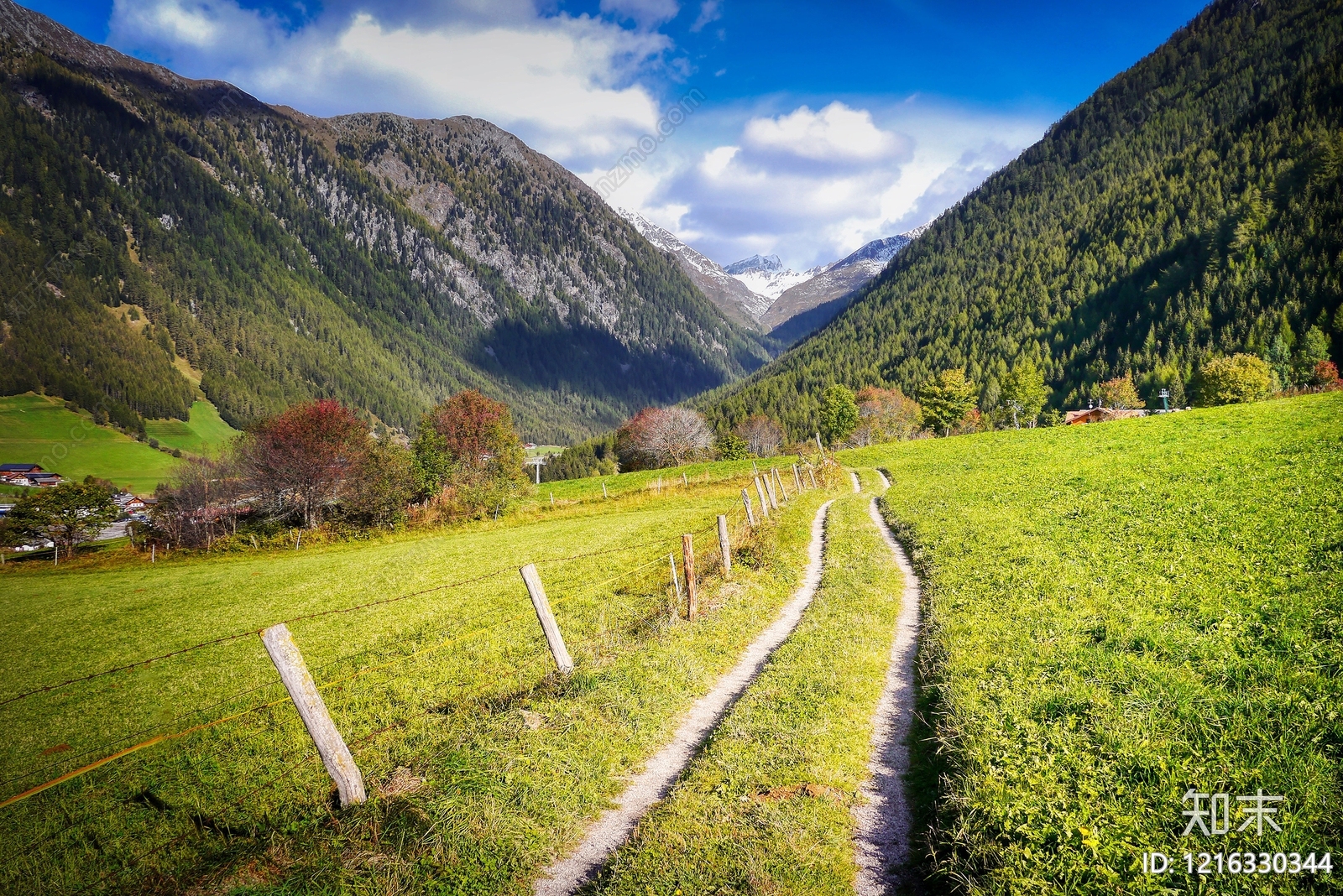 农田贴图下载【ID:1216330344】