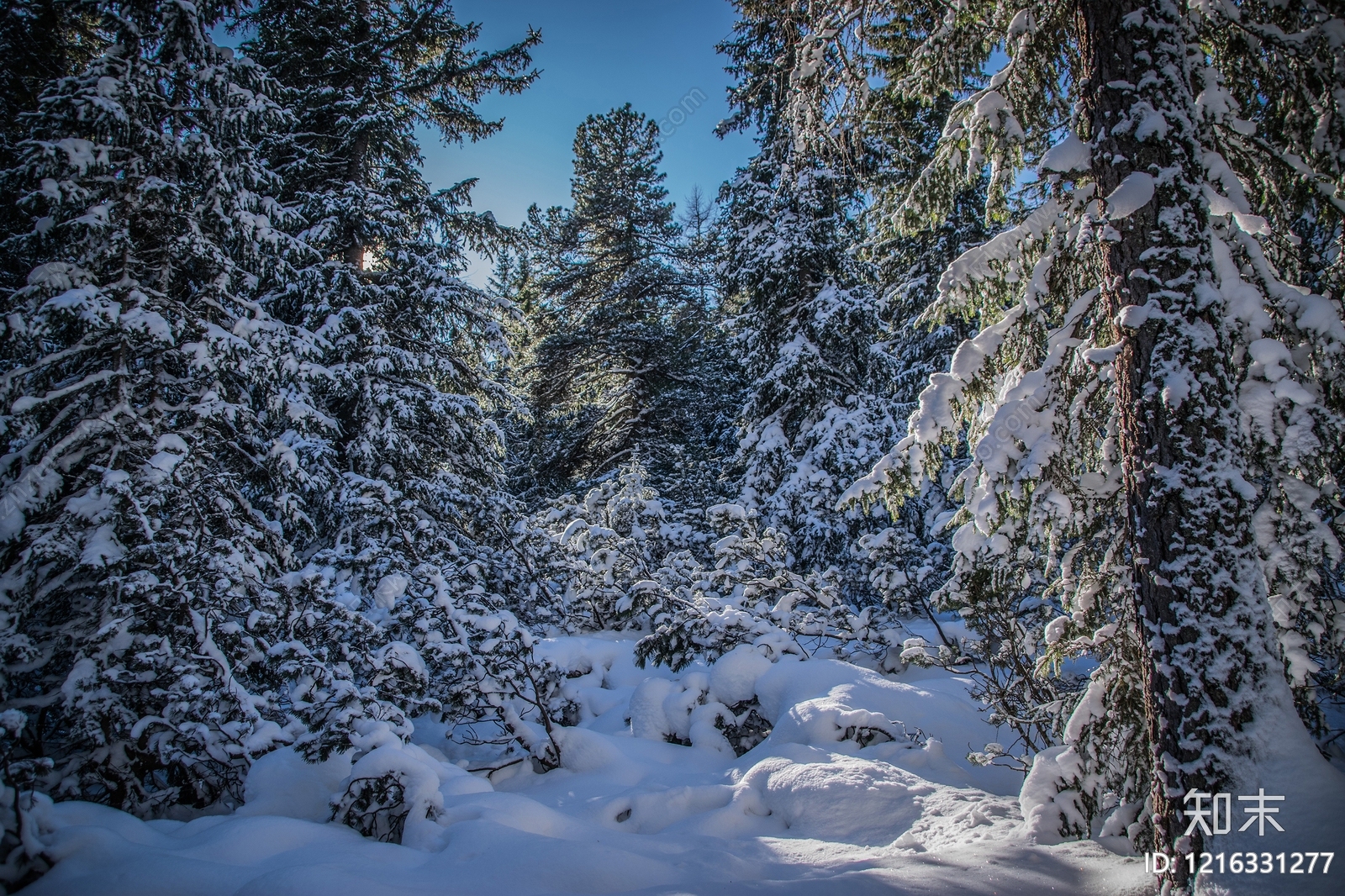 雪景贴图下载【ID:1216331277】