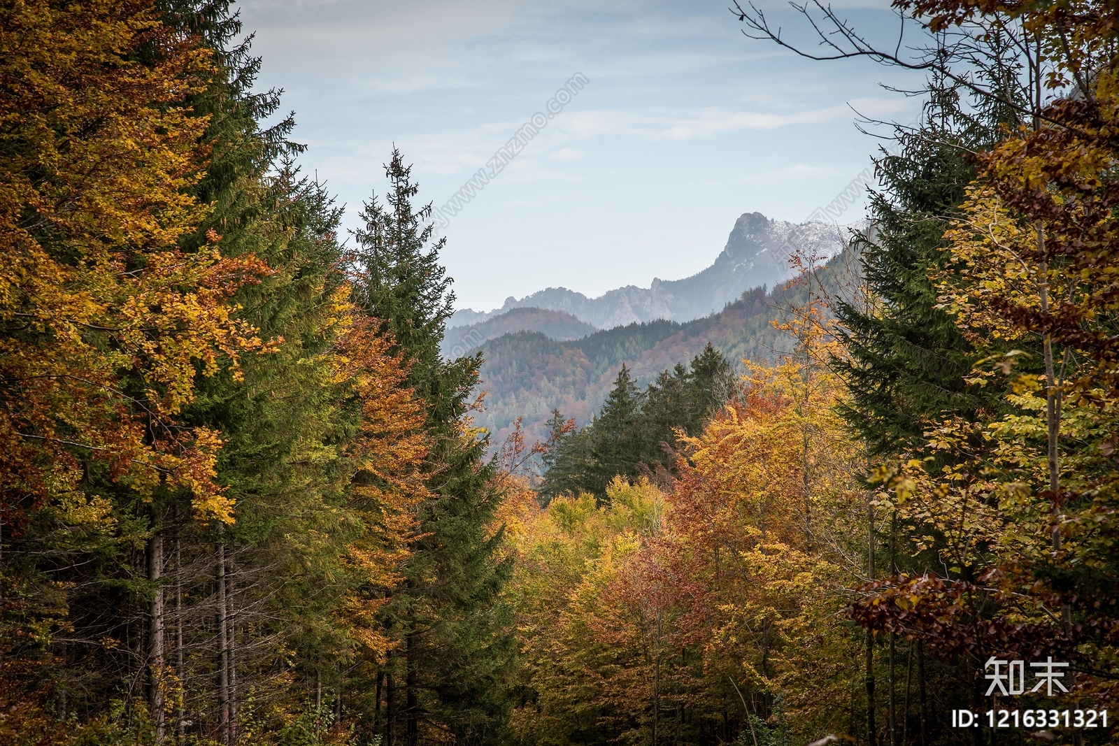 远山贴图下载【ID:1216331321】