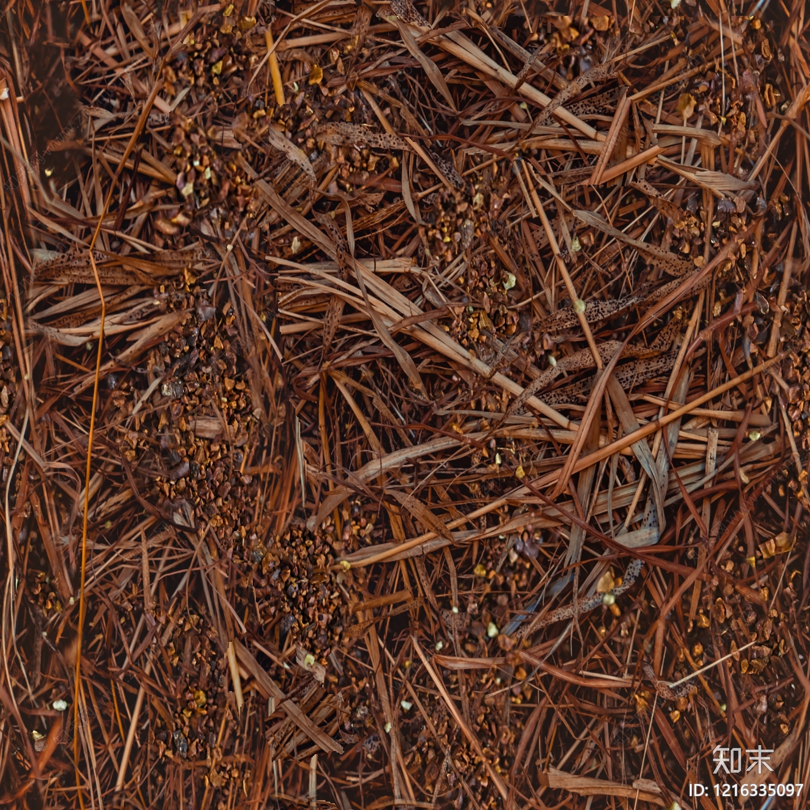 干枯植物纹理贴图下载【ID:1216335097】