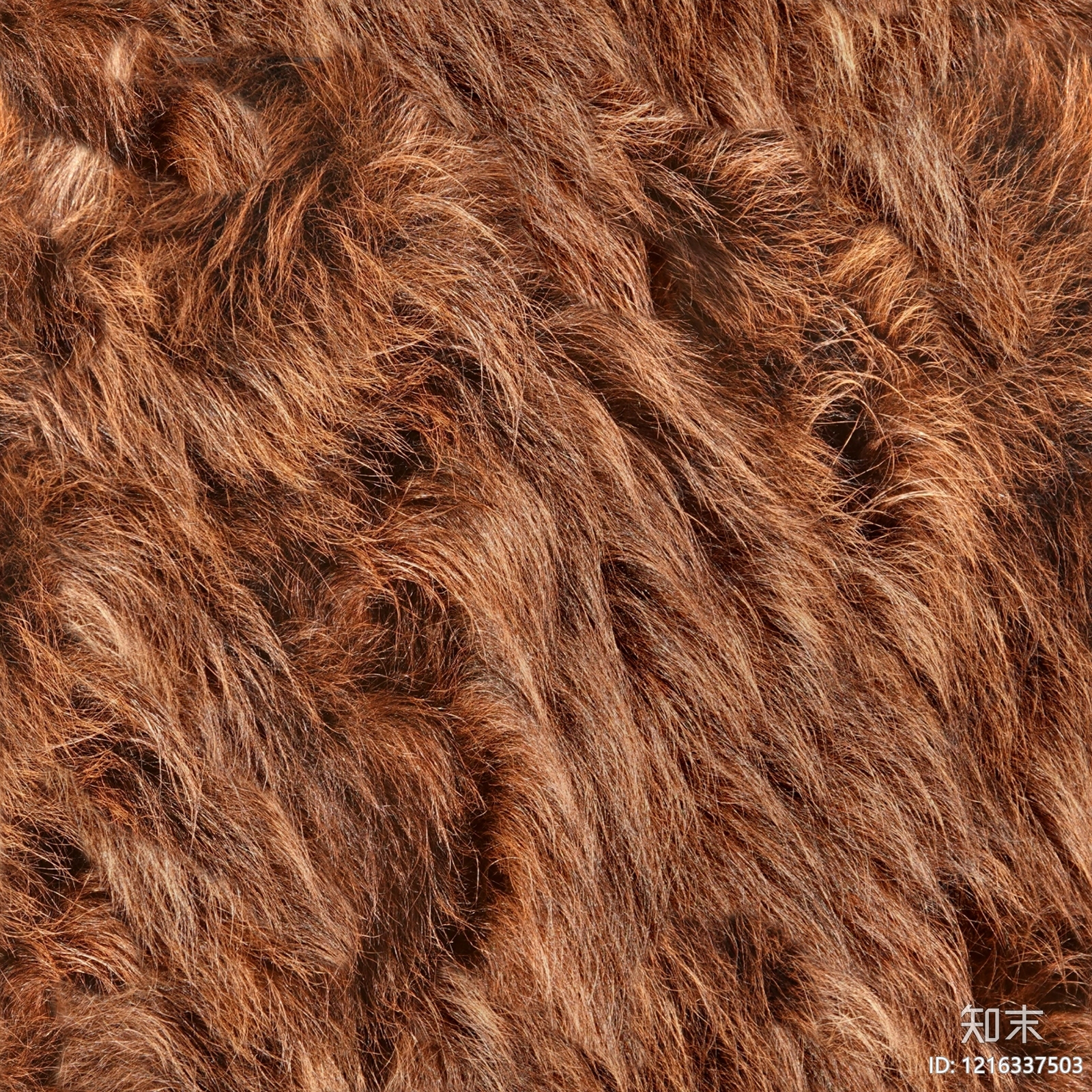 其他地毯贴图下载【ID:1216337503】