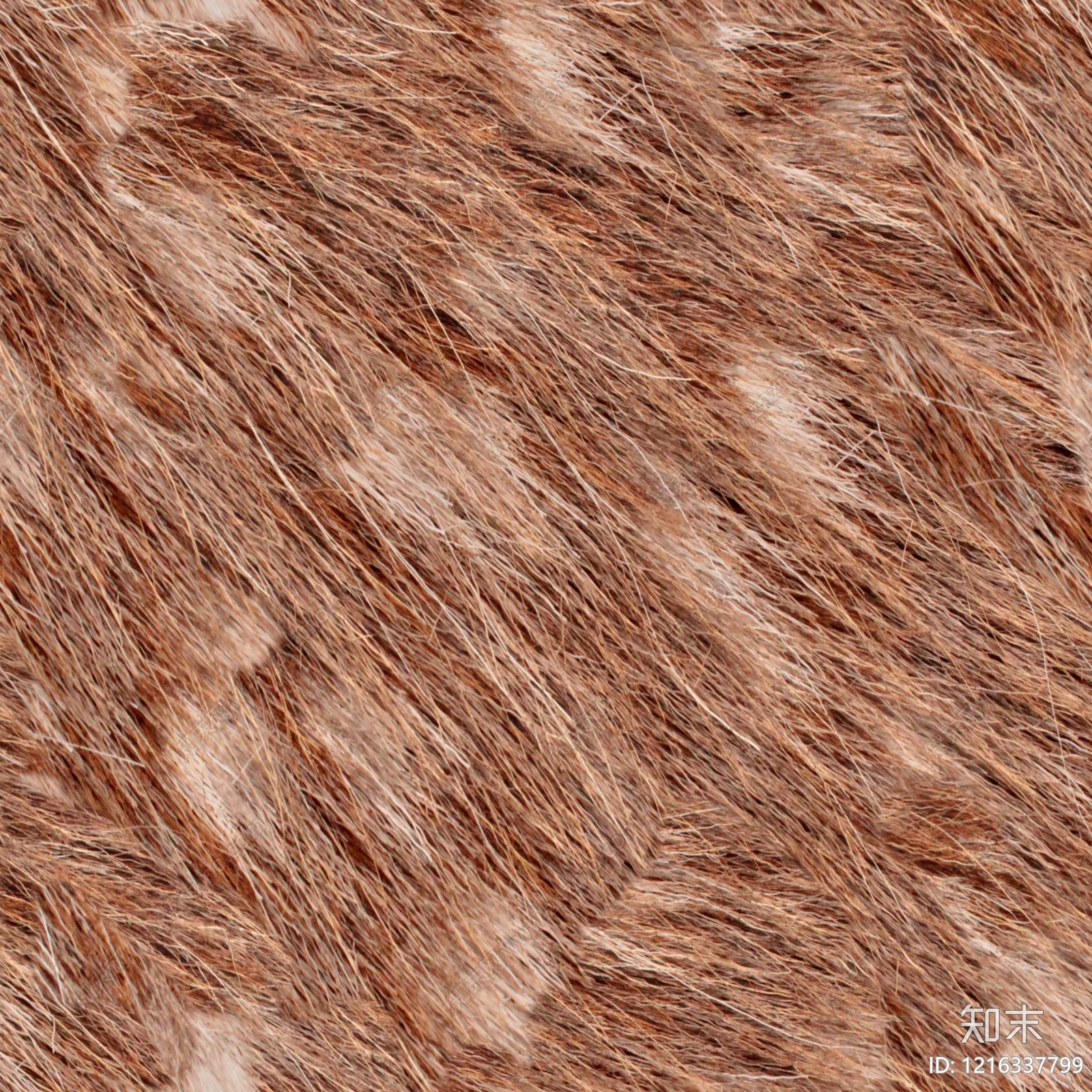 动物皮毛贴图下载【ID:1216337799】