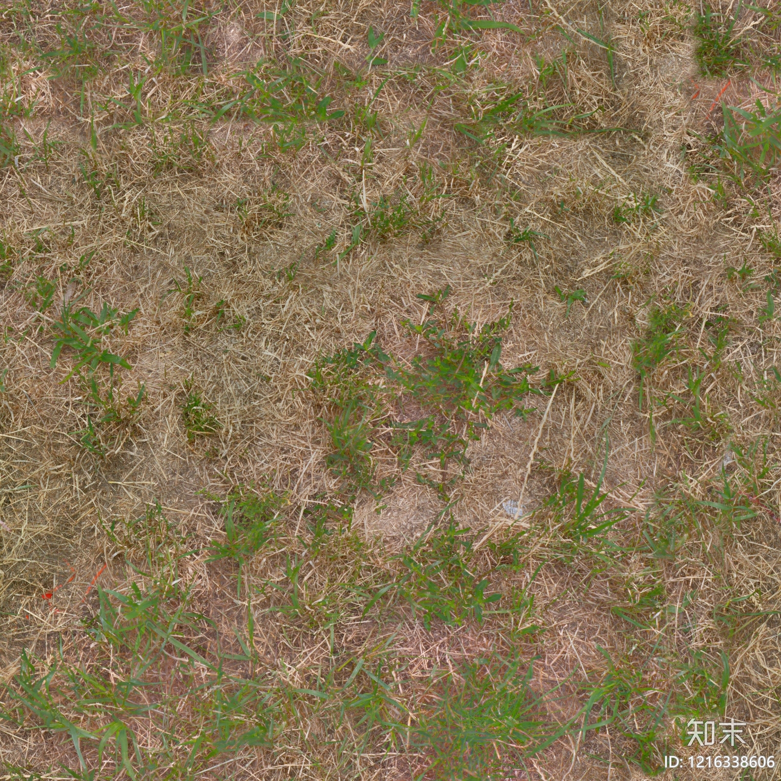 草地纹理贴图下载【ID:1216338606】