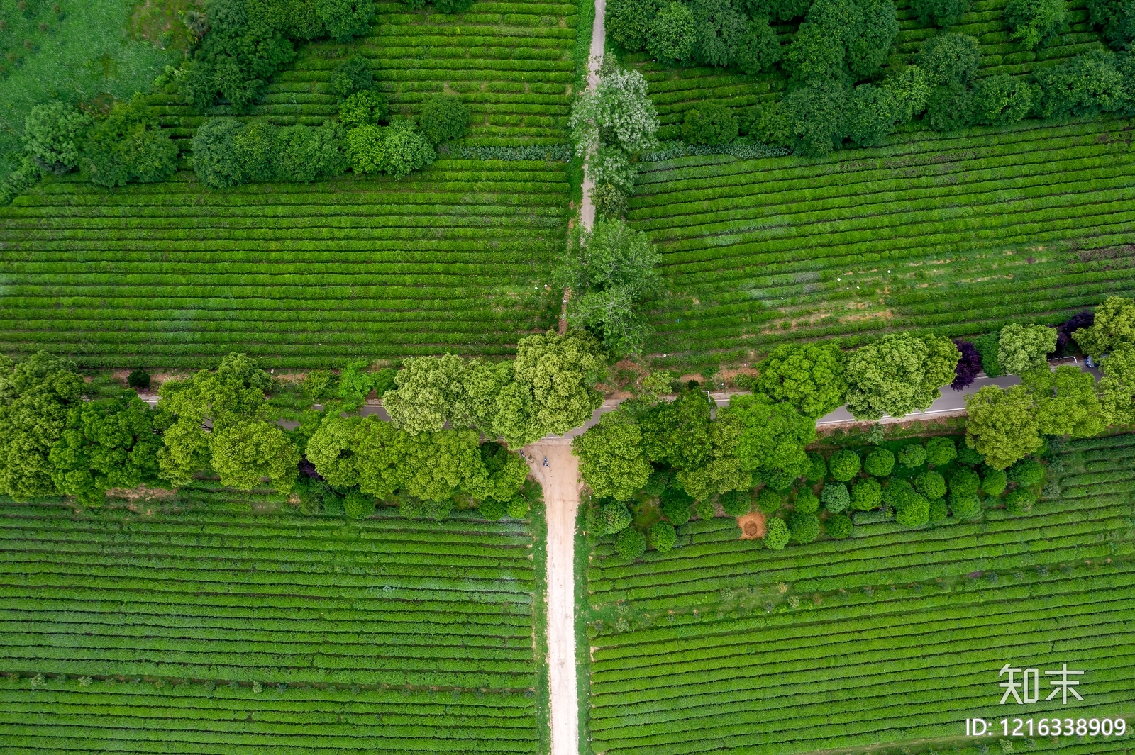 农田贴图下载【ID:1216338909】