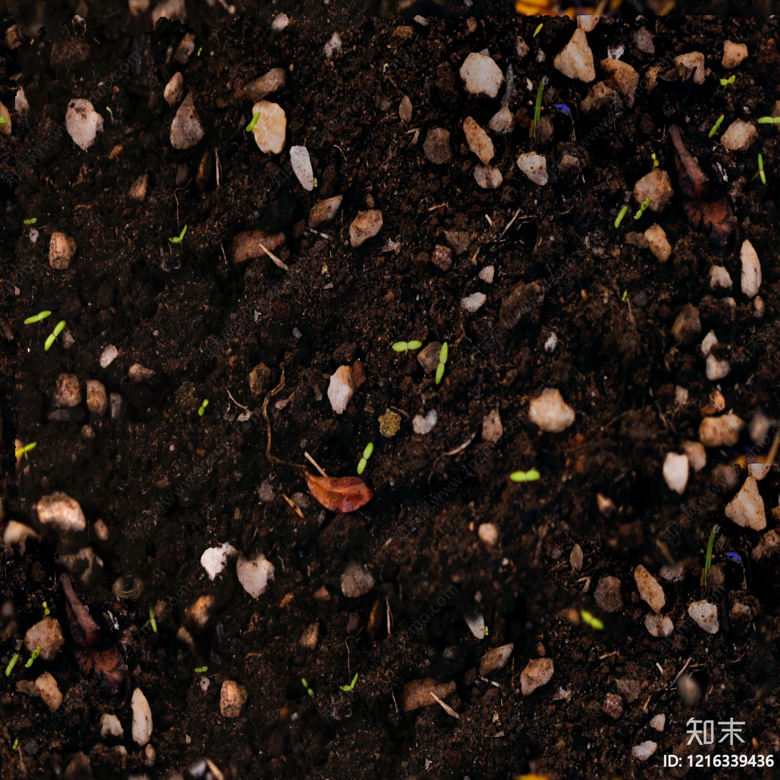 腐殖土表面贴图下载【ID:1216339436】