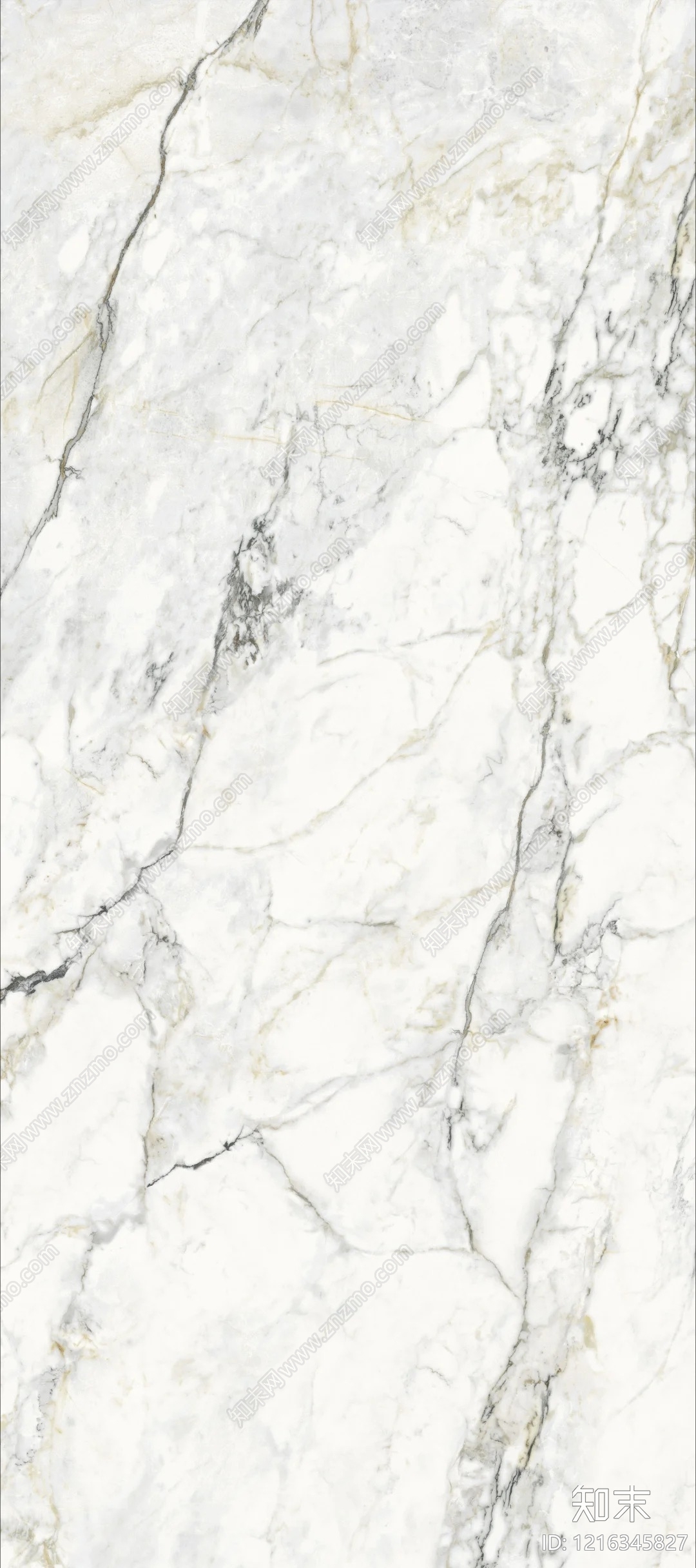 鱼肚白大理石贴图下载【ID:1216345827】