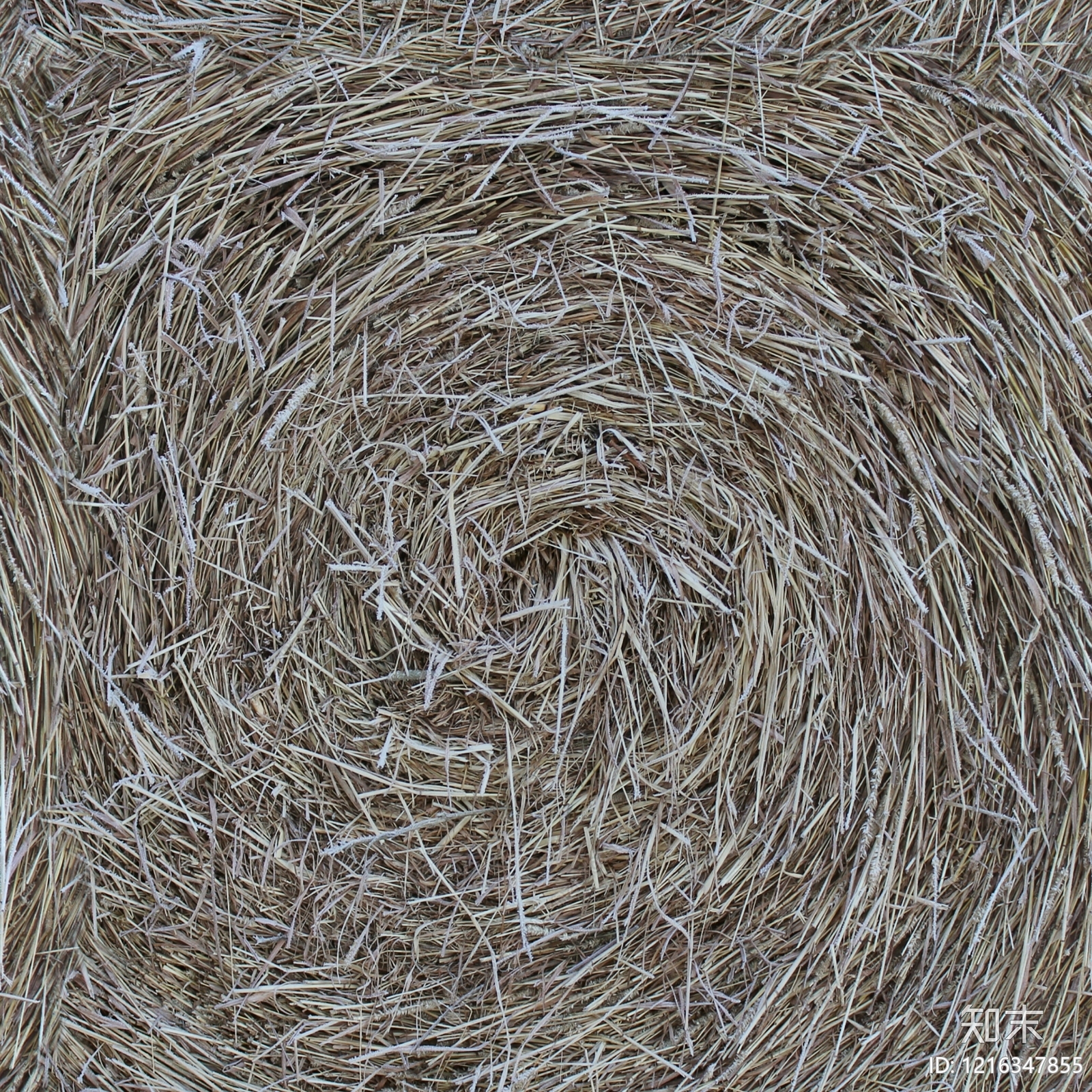 干枯植物纹理贴图下载【ID:1216347855】