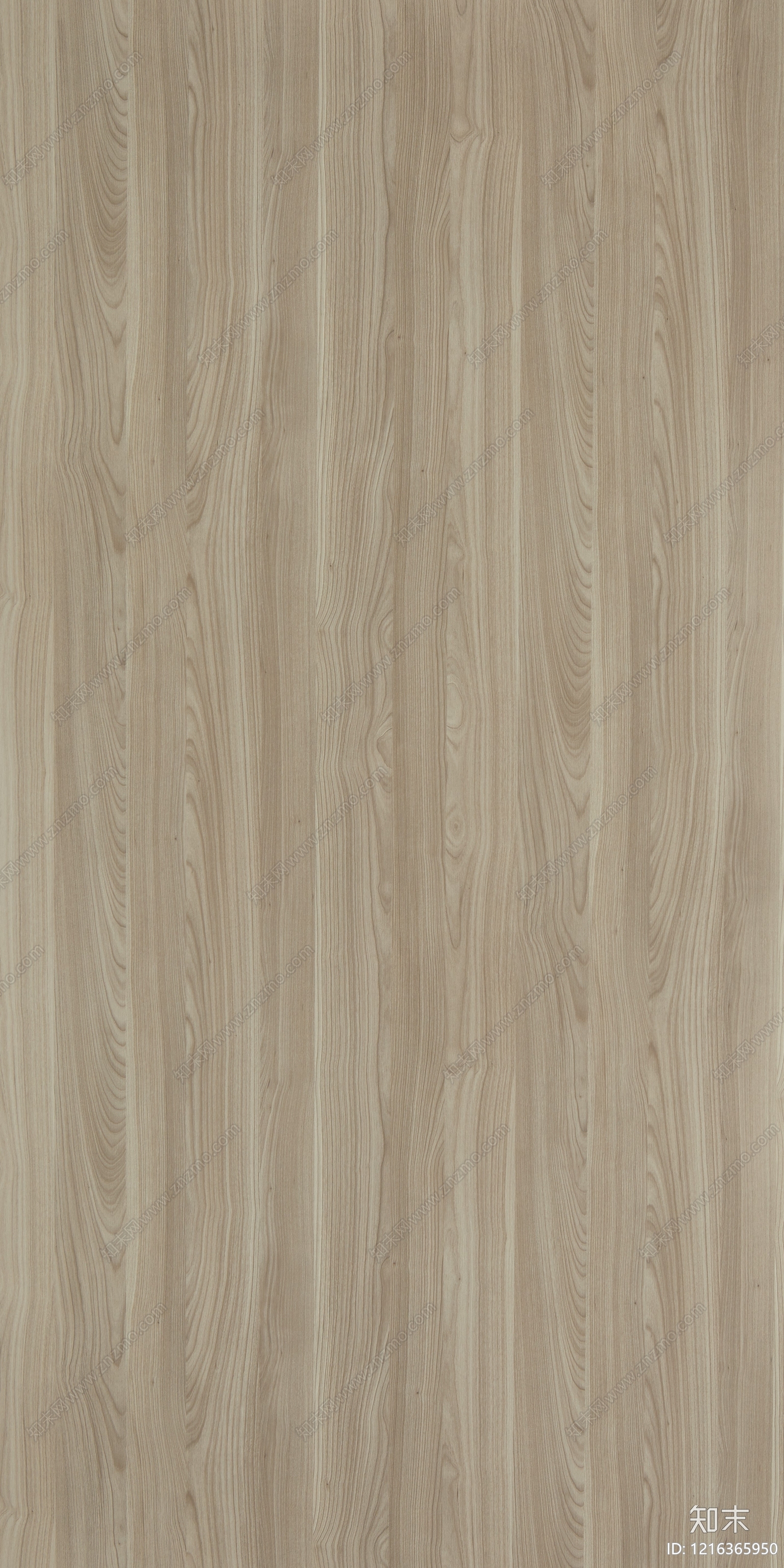 现代浅色木纹贴图下载【ID:1216365950】