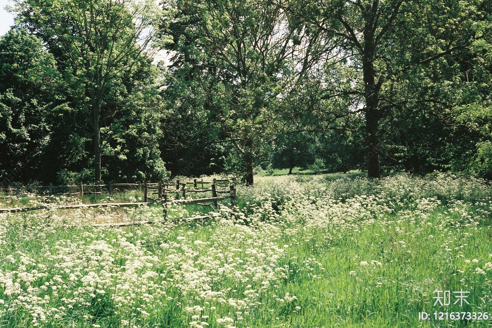 花园贴图下载【ID:1216373326】