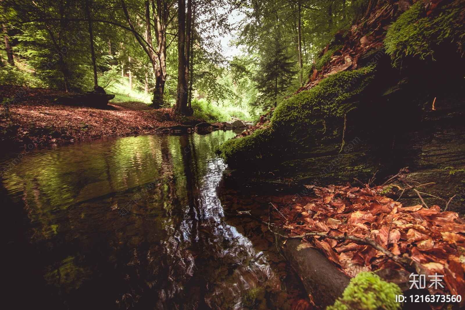 森林贴图下载【ID:1216373560】