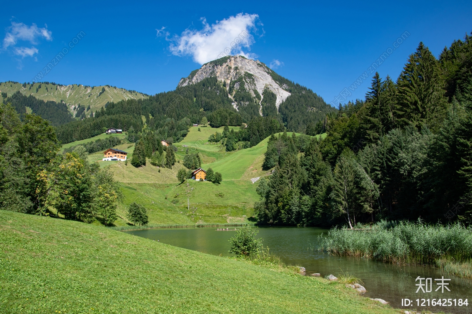 山水贴图下载【ID:1216425184】