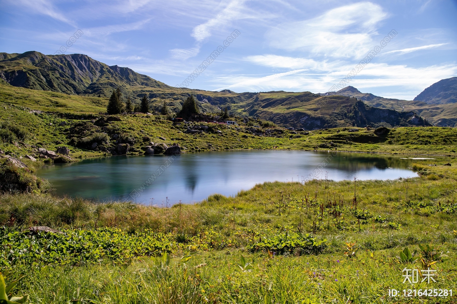 草地贴图下载【ID:1216425281】