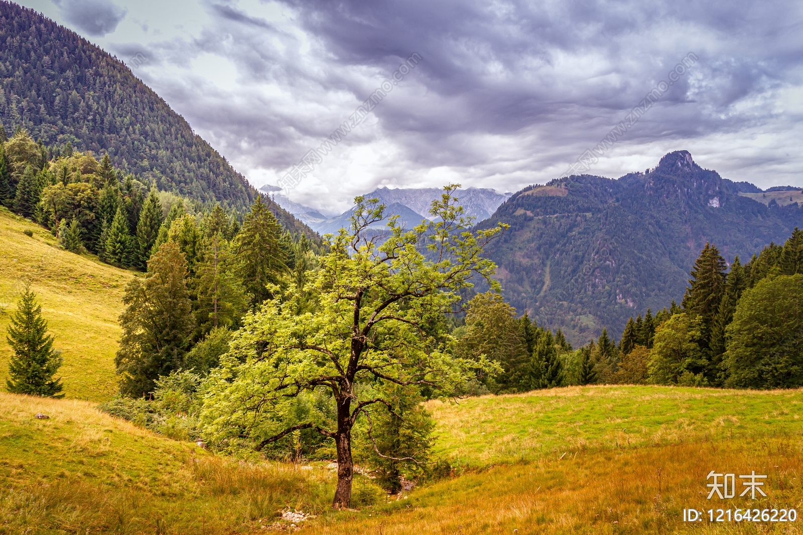 山水贴图下载【ID:1216426220】