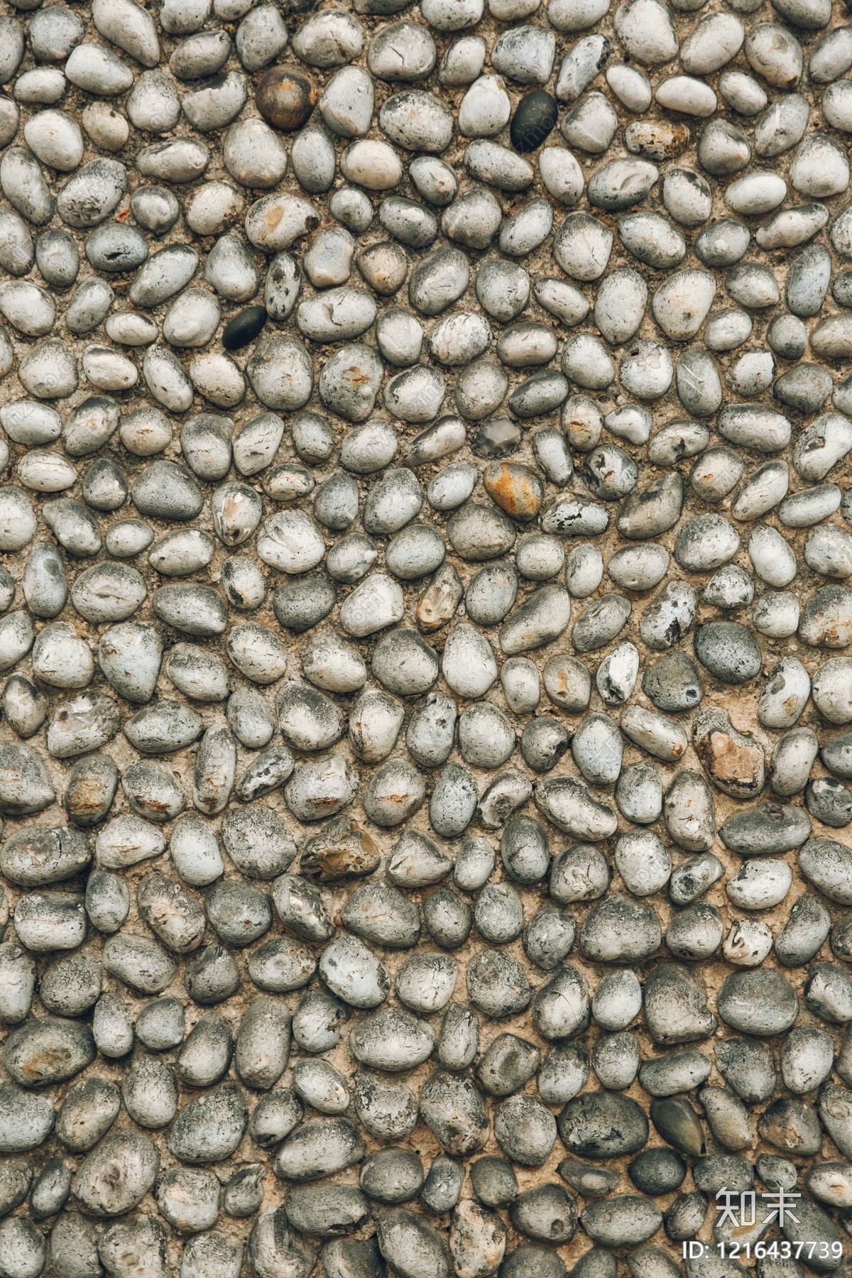 鹅卵石贴图下载【ID:1216437739】