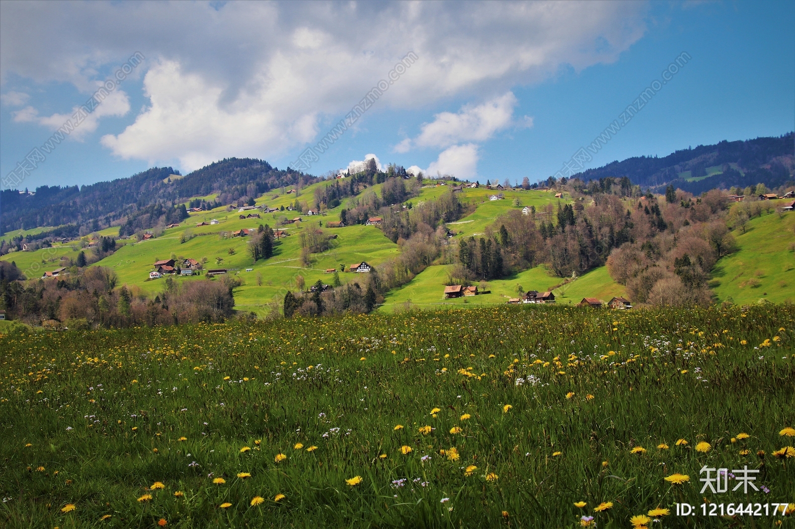 农田贴图下载【ID:1216442177】