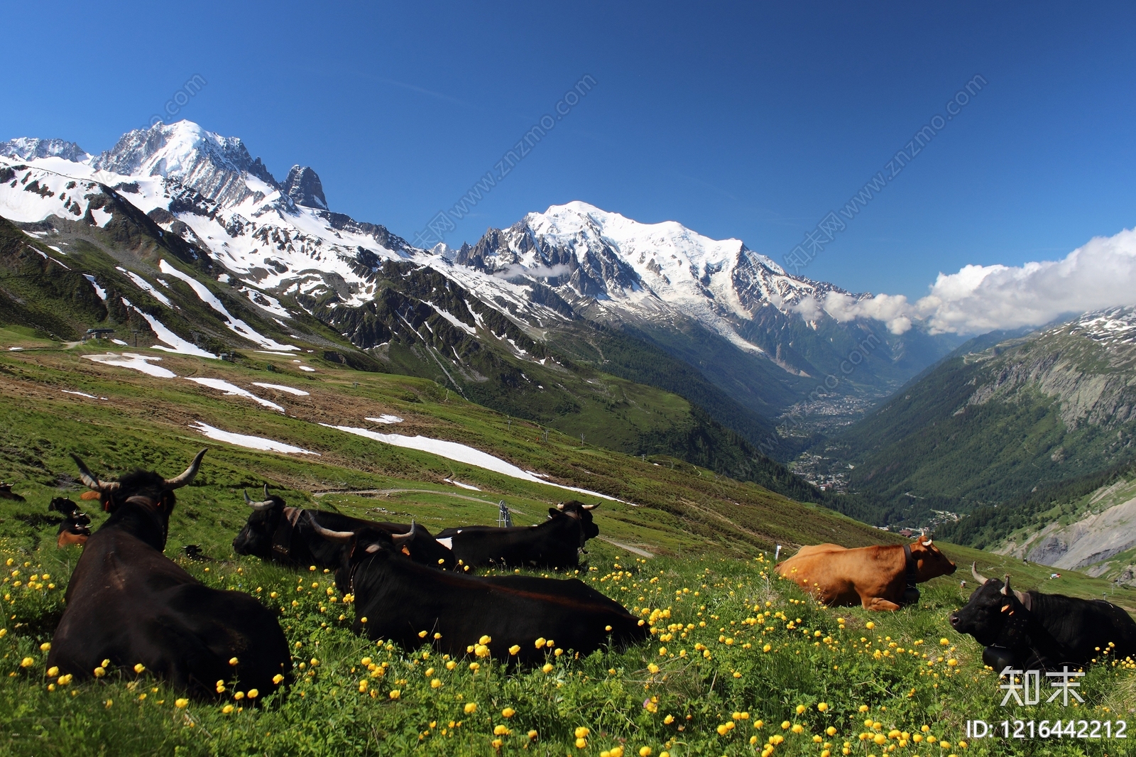 远山贴图下载【ID:1216442212】