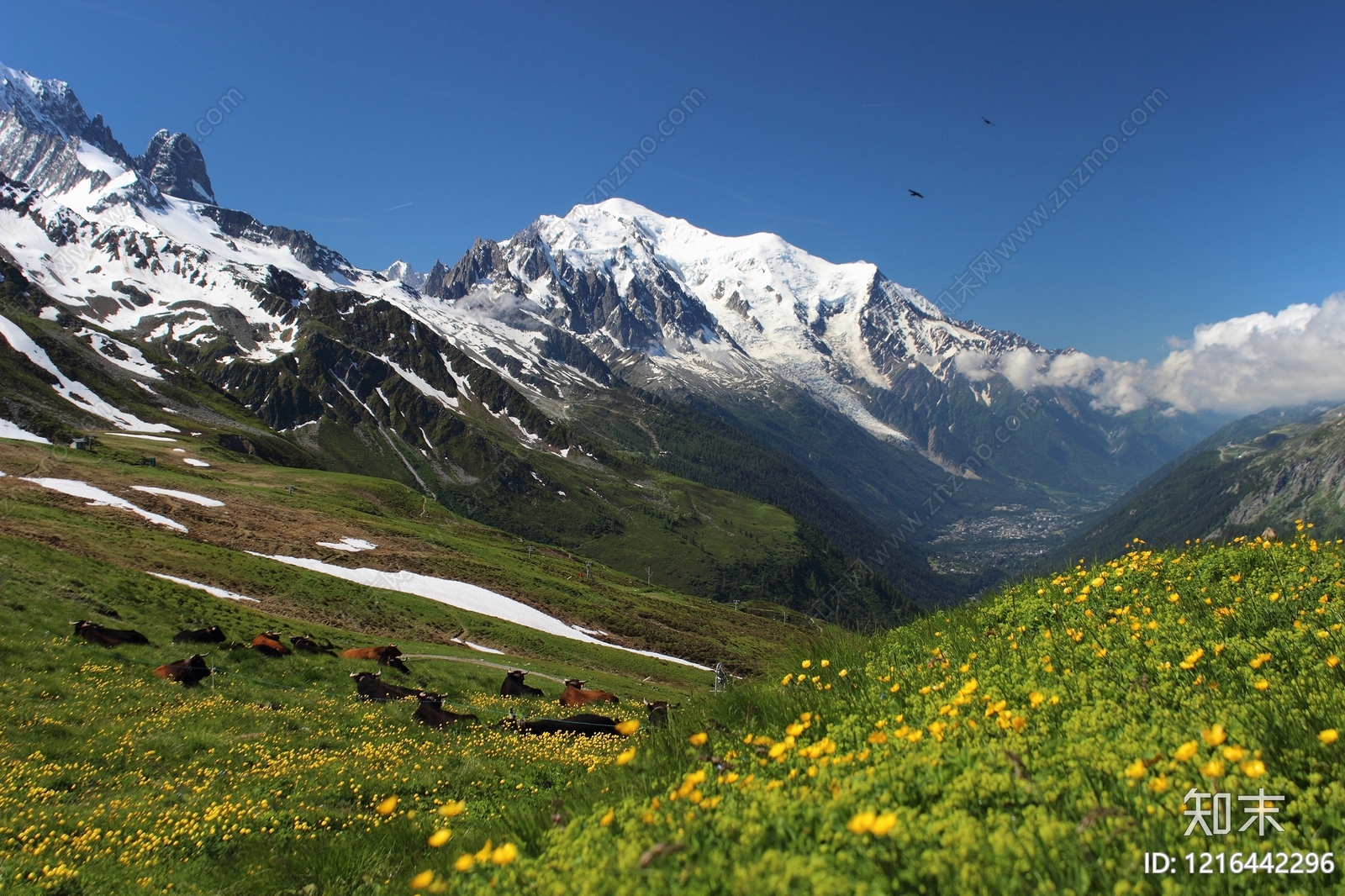 雪山贴图下载【ID:1216442296】