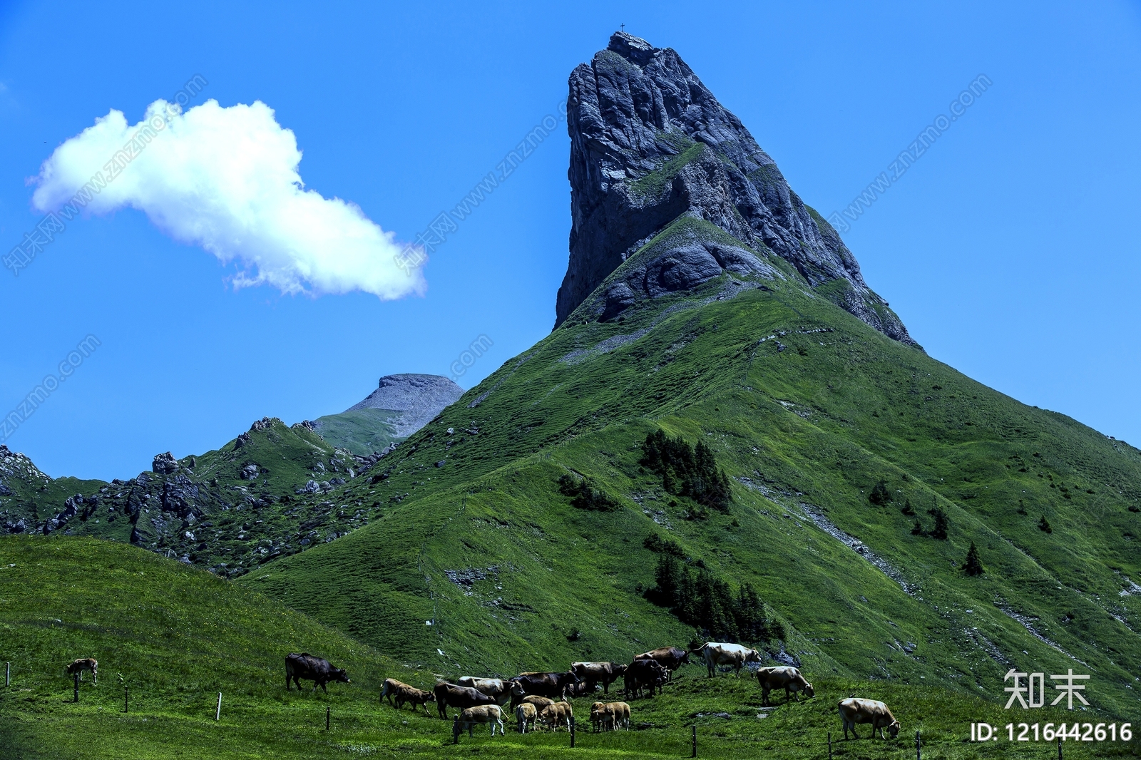 草地贴图下载【ID:1216442616】