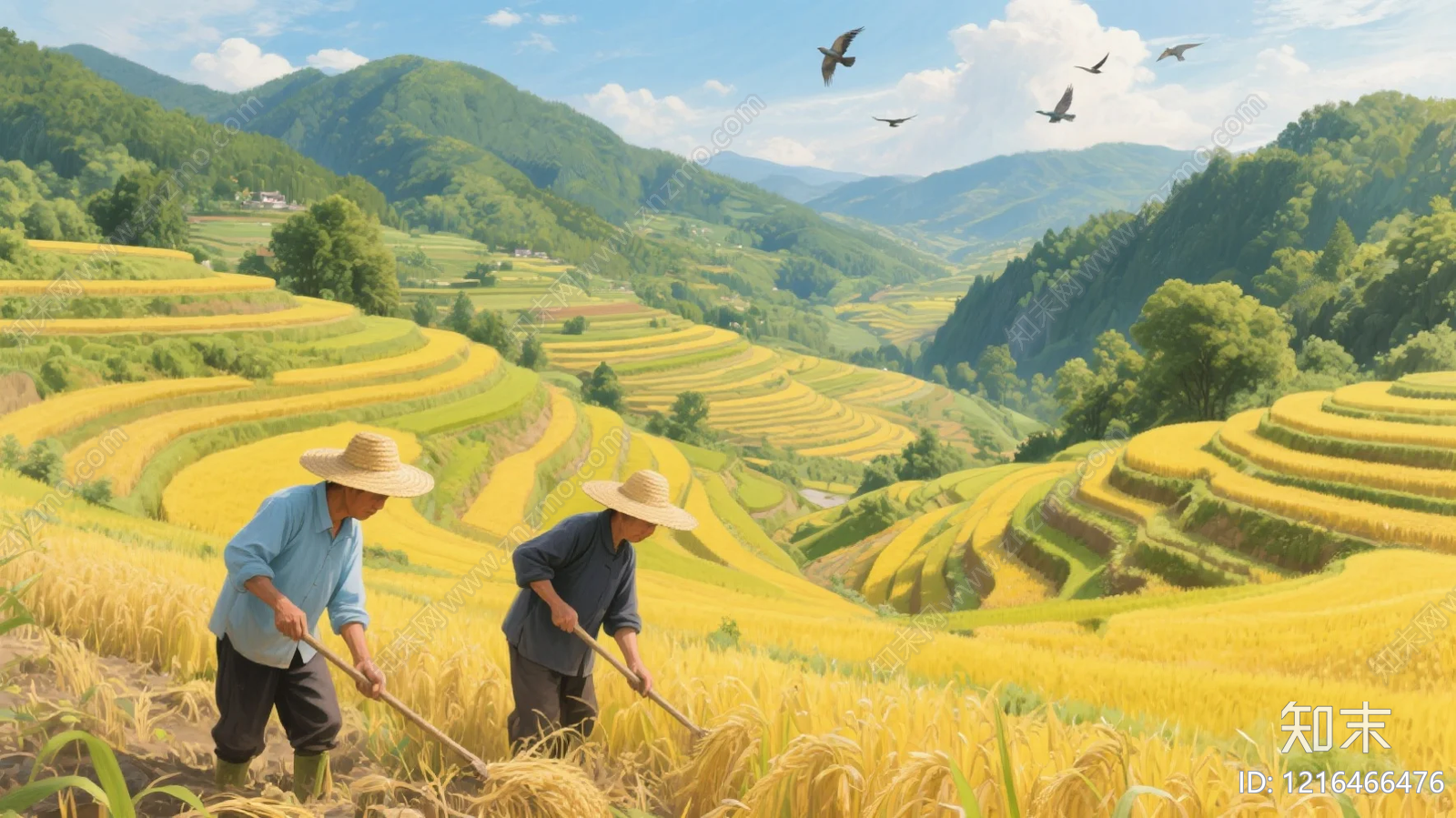 农田贴图下载【ID:1216466476】