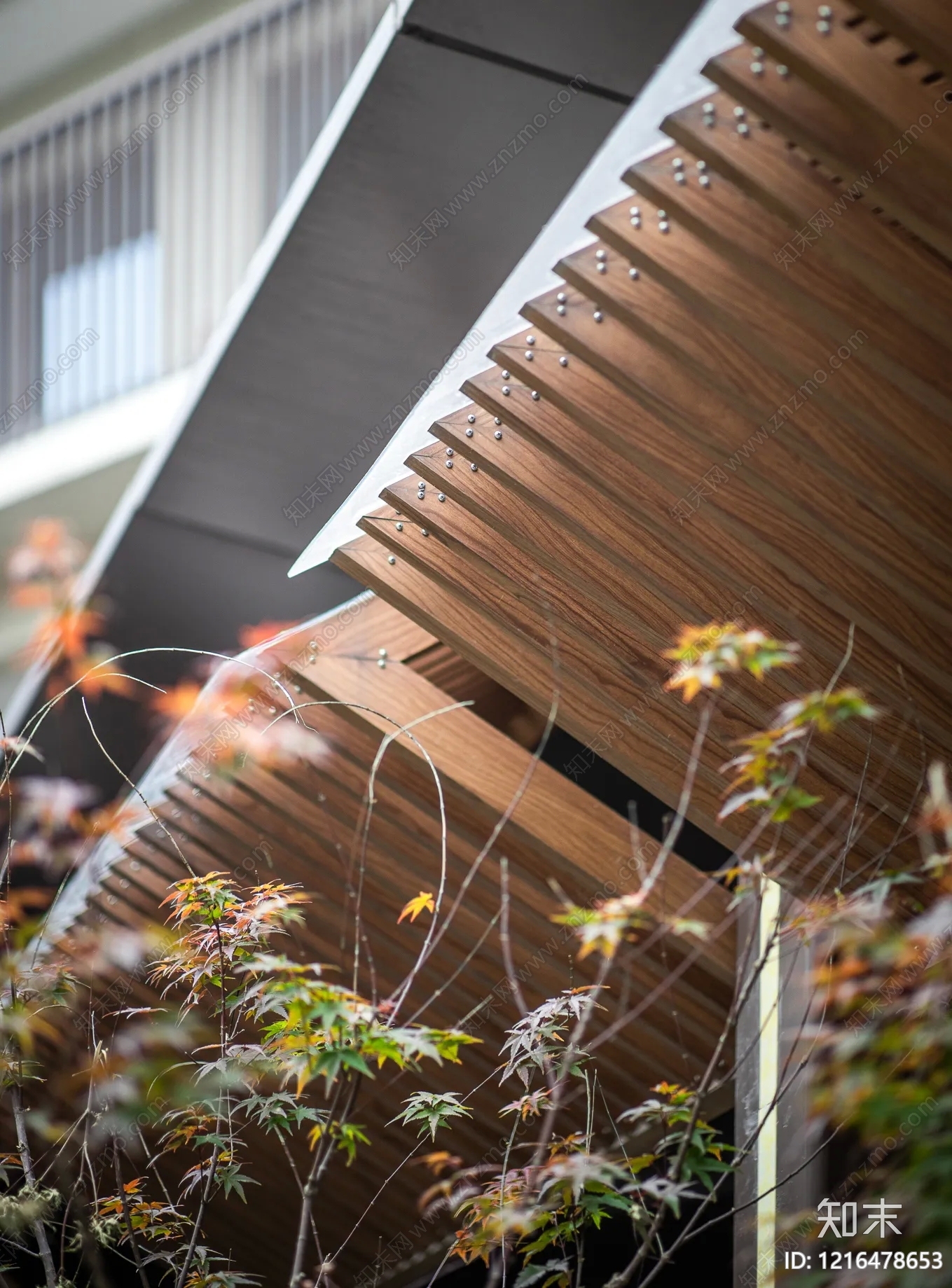 仿木材料贴图下载【ID:1216478653】