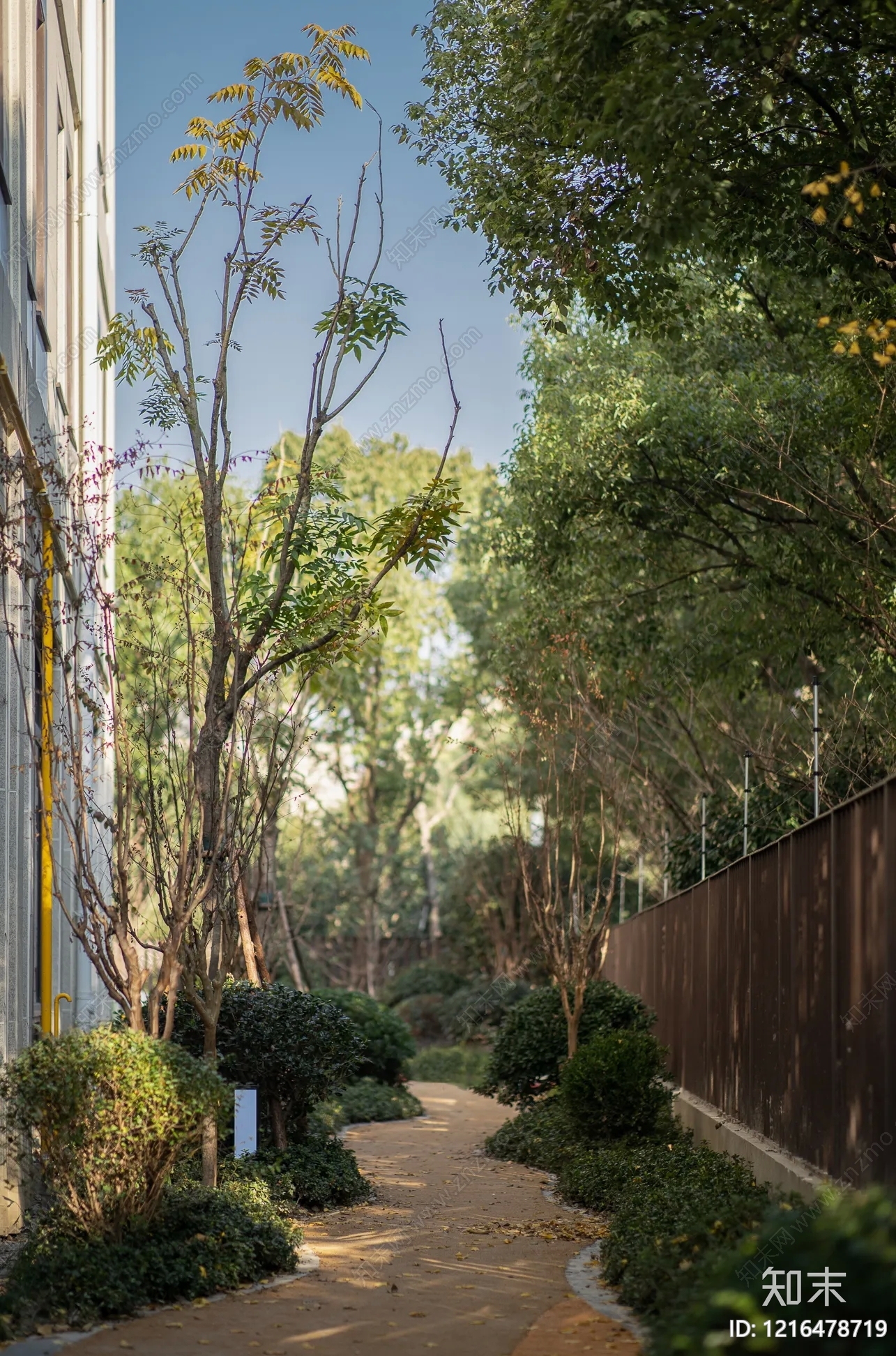 花园贴图下载【ID:1216478719】