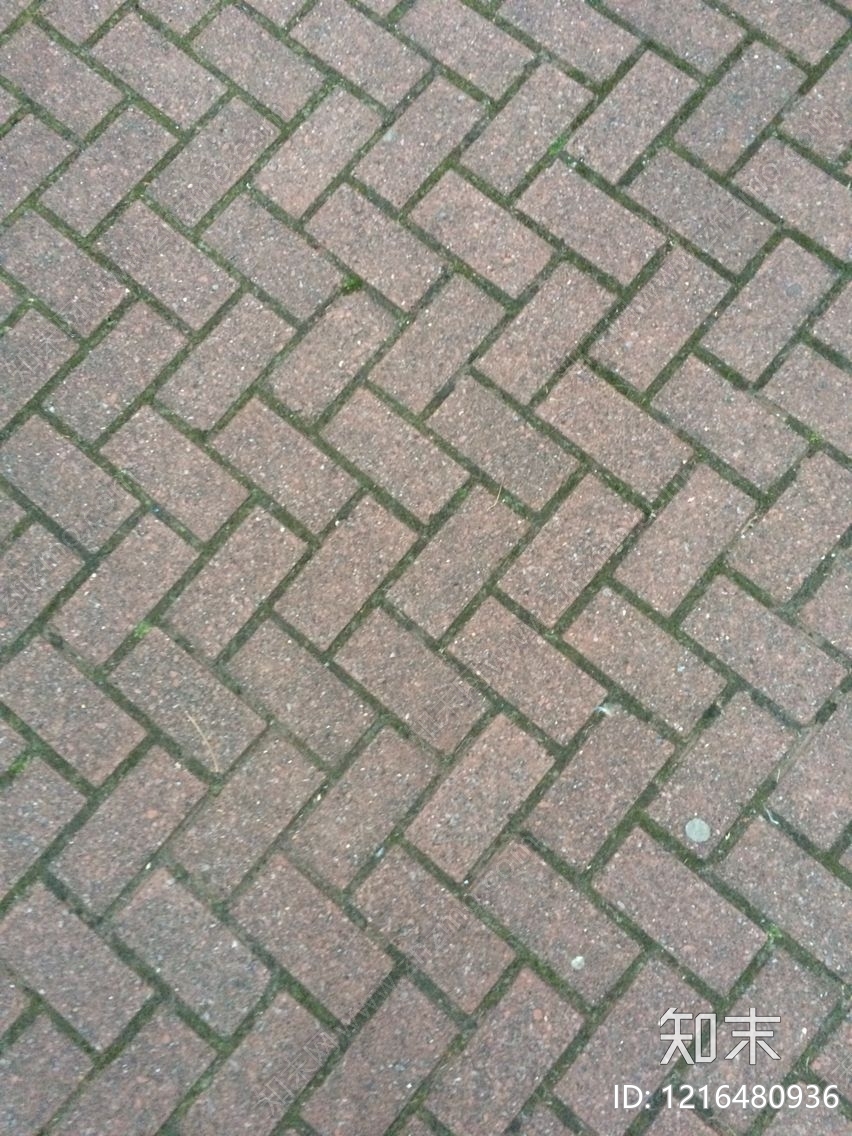 广场砖贴图下载【ID:1216480936】