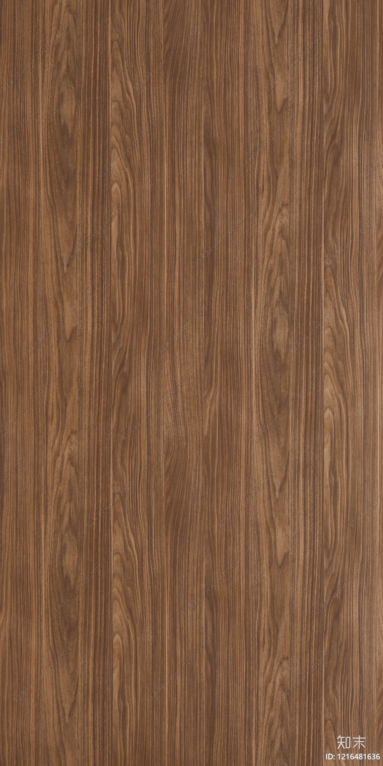 现代胡桃木贴图下载【ID:1216481636】