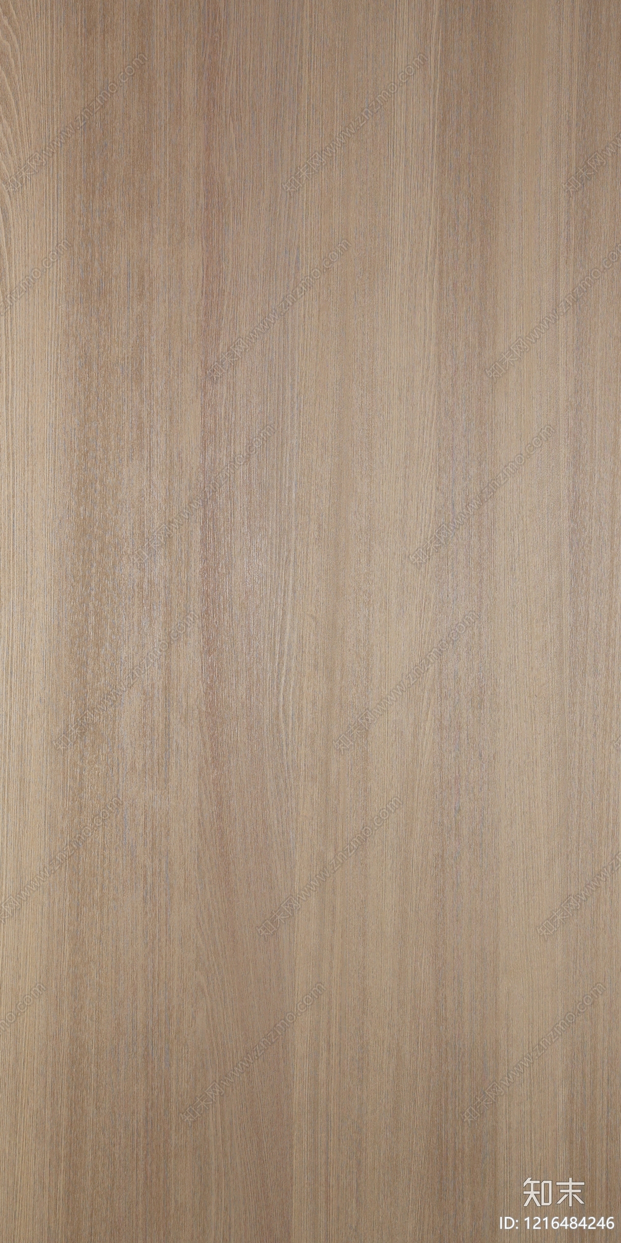 现代浅色木纹贴图下载【ID:1216484246】