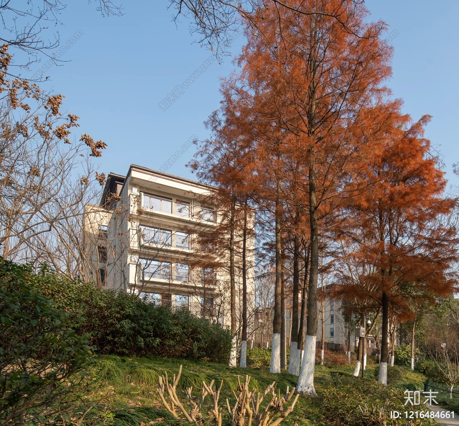 其他风景贴图下载【ID:1216484661】