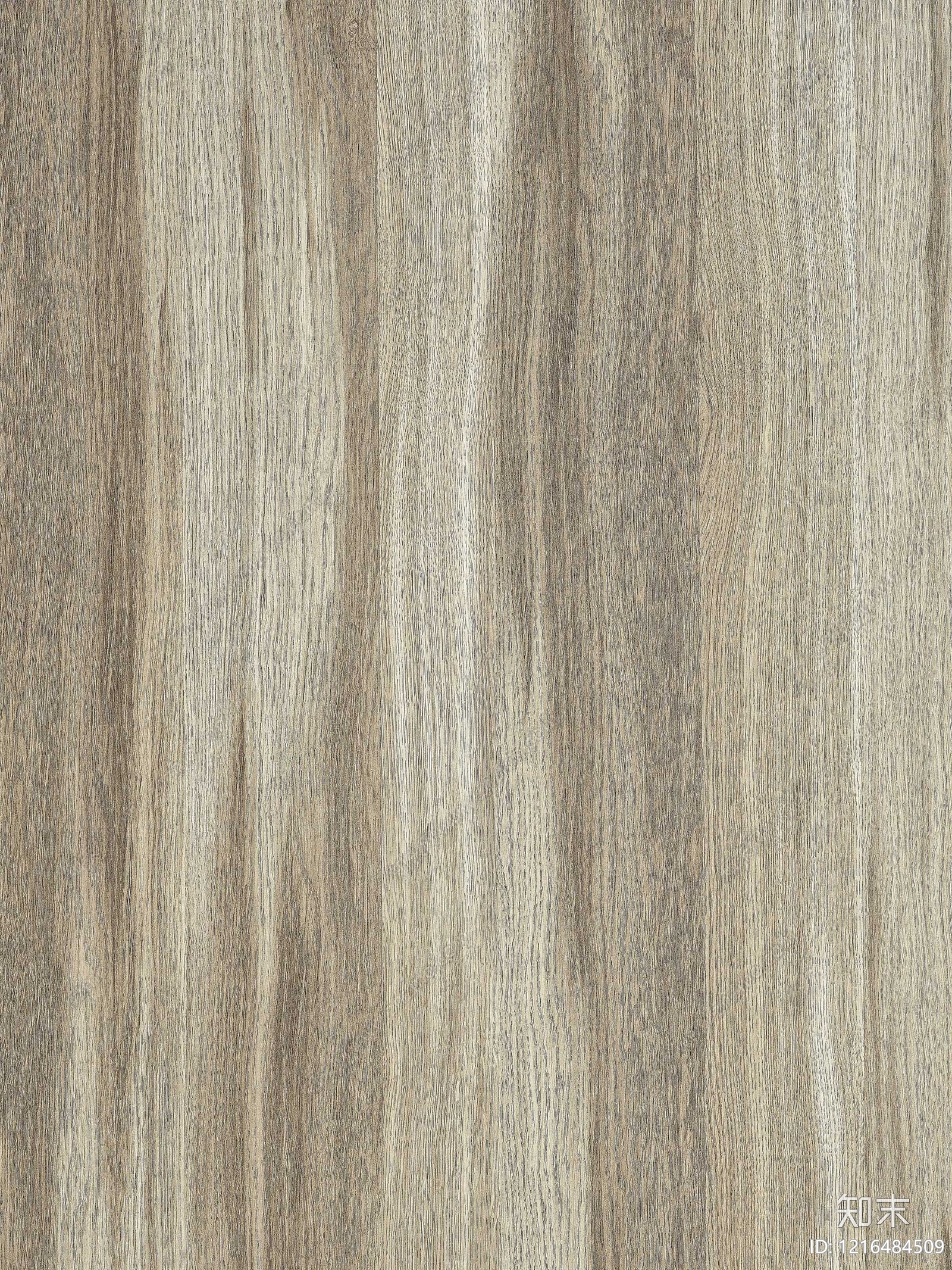 现代浅色木纹贴图下载【ID:1216484509】