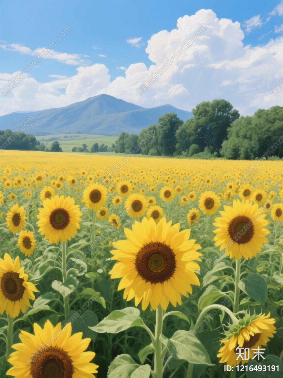 农田贴图下载【ID:1216493191】