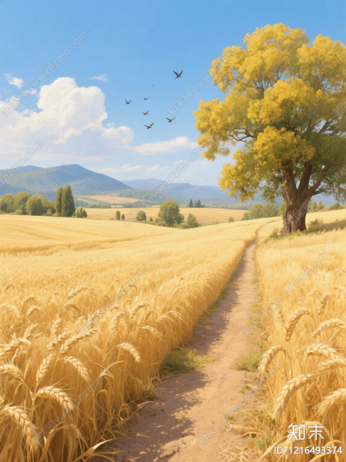 农田贴图下载【ID:1216493374】