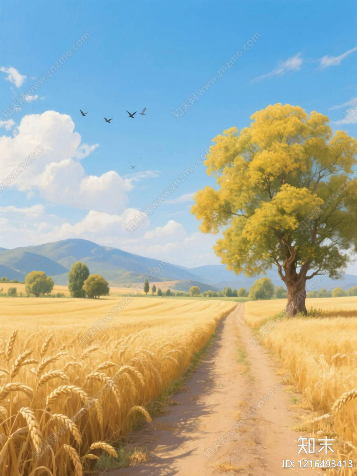 农田贴图下载【ID:1216493413】