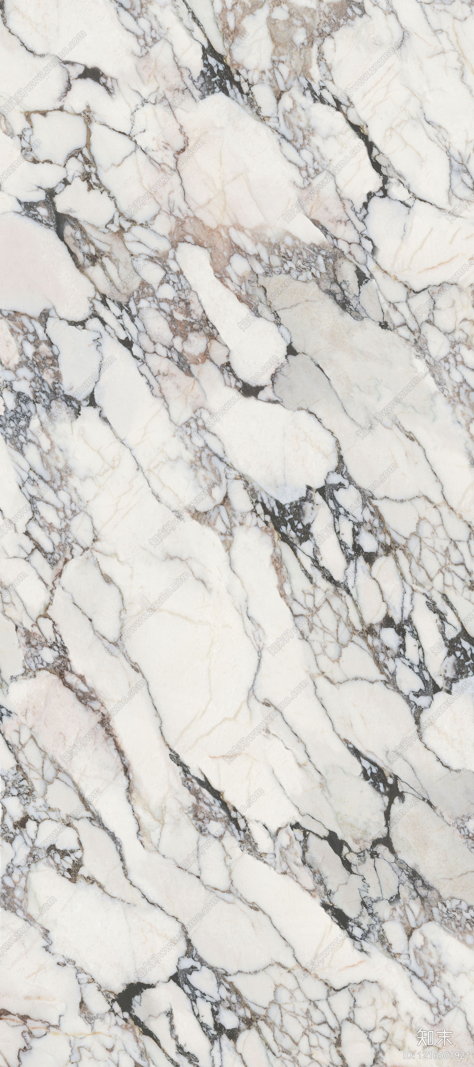 宝格丽大理石贴图下载【ID:1216501921】