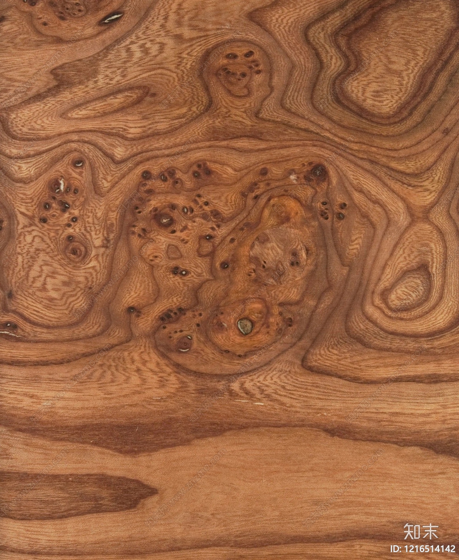 现代树瘤贴图下载【ID:1216514142】