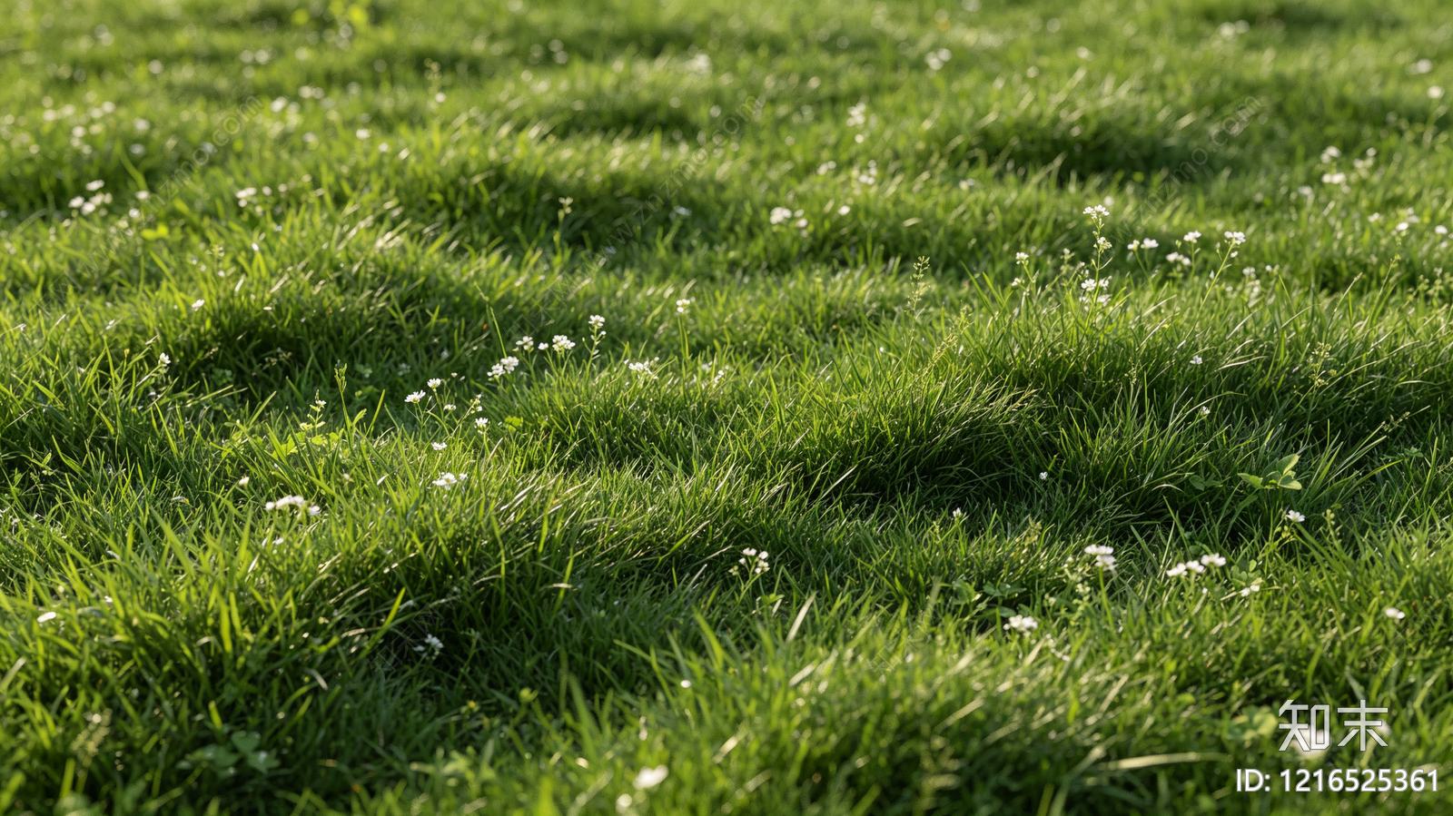 现代草地贴图下载【ID:1216525361】