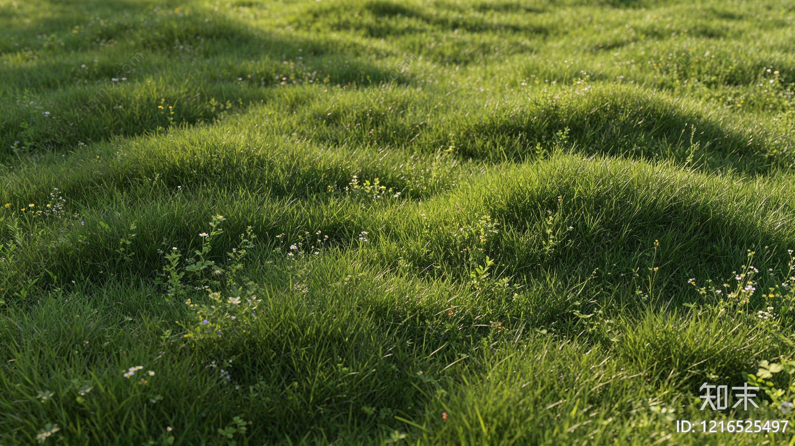现代草地贴图下载【ID:1216525497】