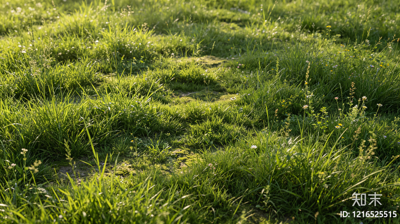 现代自然地面贴图下载【ID:1216525515】