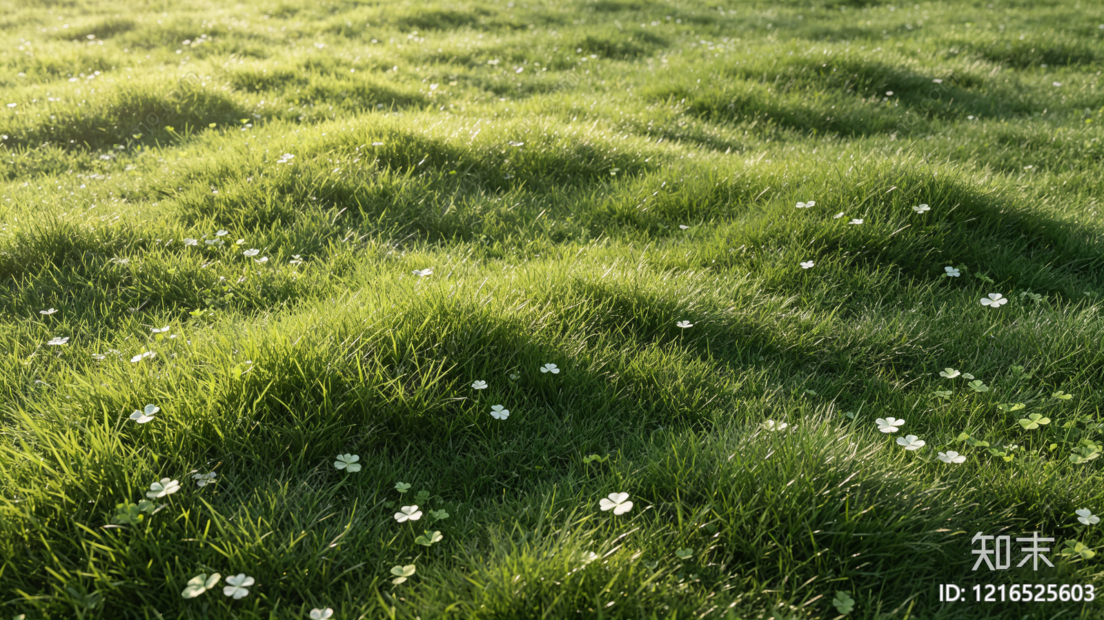 现代植被贴图下载【ID:1216525603】