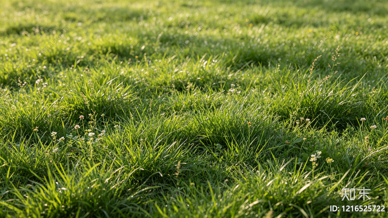 现代草地贴图下载【ID:1216525722】