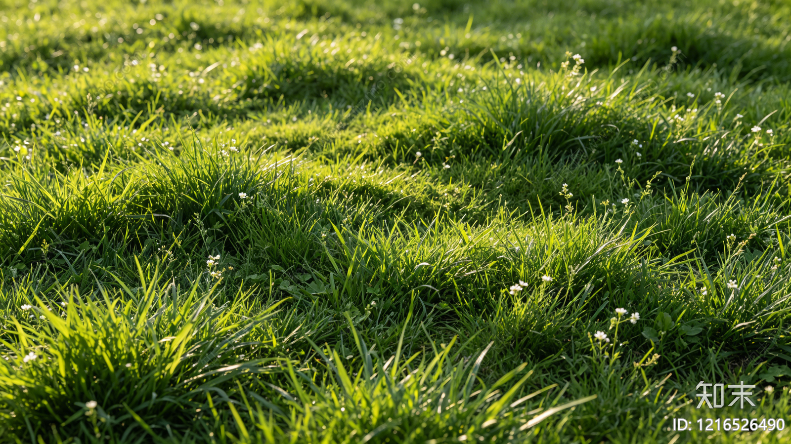 现代草地纹理贴图下载【ID:1216526490】